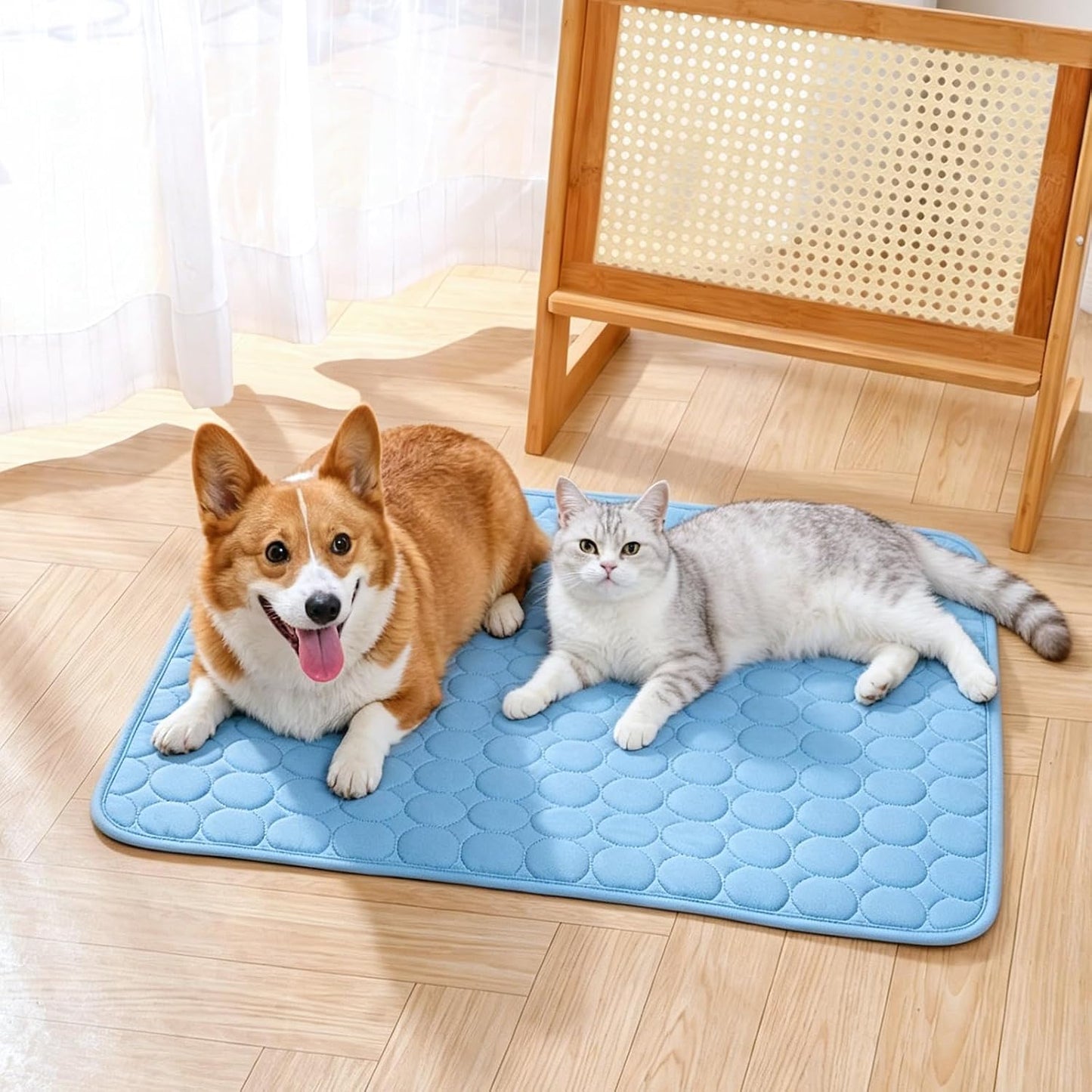 Kühlmatte Hund Selbstkühlend Kühlmatte Katze Kühldecke Hund Kühldecke Katze | Selbstkühlende Matte & Kühldecke Für Haustiere, Waschbar, Atmungsaktiv, Rutschfestes Schlafbett (100X75Cm, XL)